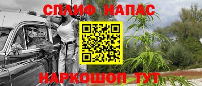 сатива Берёзовский