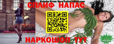 mix Бийск