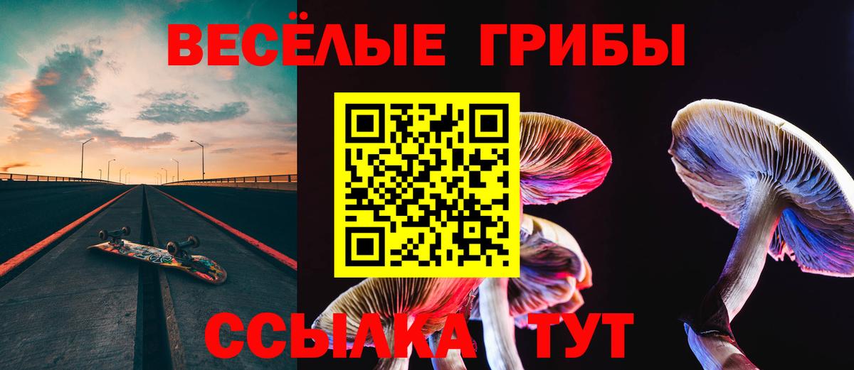 Галлюциногенные грибы мухоморы Когалым